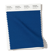 PANTONE 19-4055.jpg